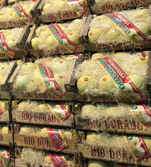 Rio Dorado - Productores Frutihortícolas